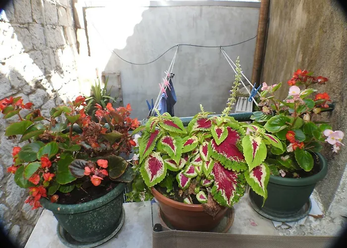 Kovacic_grubisic * Split